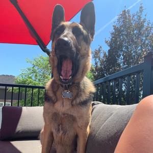 Meet your Posher, Siobhan